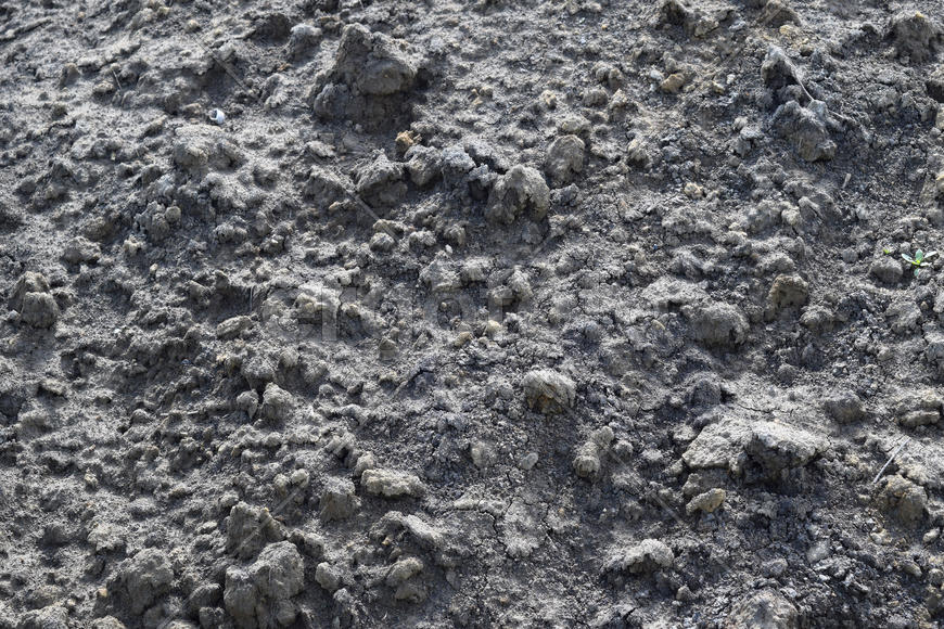 Background from the hardened cement mortar. Texture of concrete