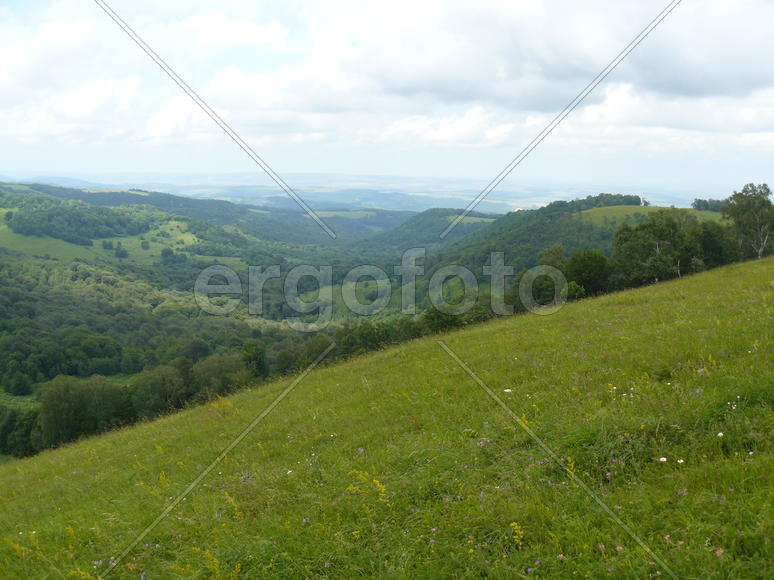 Landscape. The blossoming meadows on slopes of hills