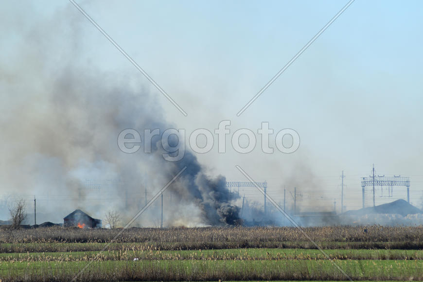 Fire on irrigation canals. Burning dry grass and cane fields in irrigation system