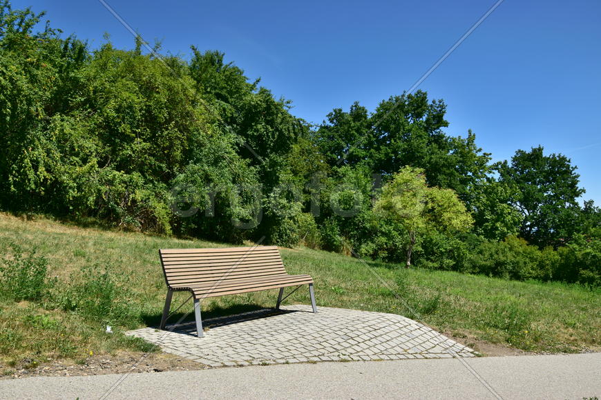 Германия - город Бамберг. Скамейка в парке 