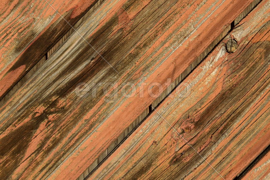 Фон. Текстура дерева 