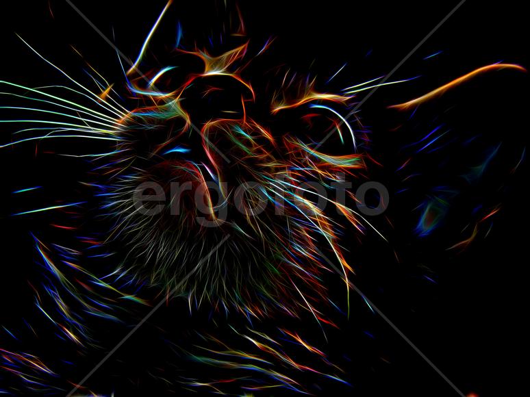 Изображение кота в неоновом цвете на черном фоне