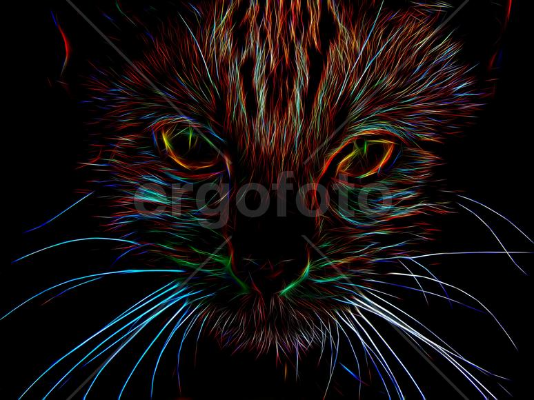 Изображение кота в неоновом цвете на черном фоне