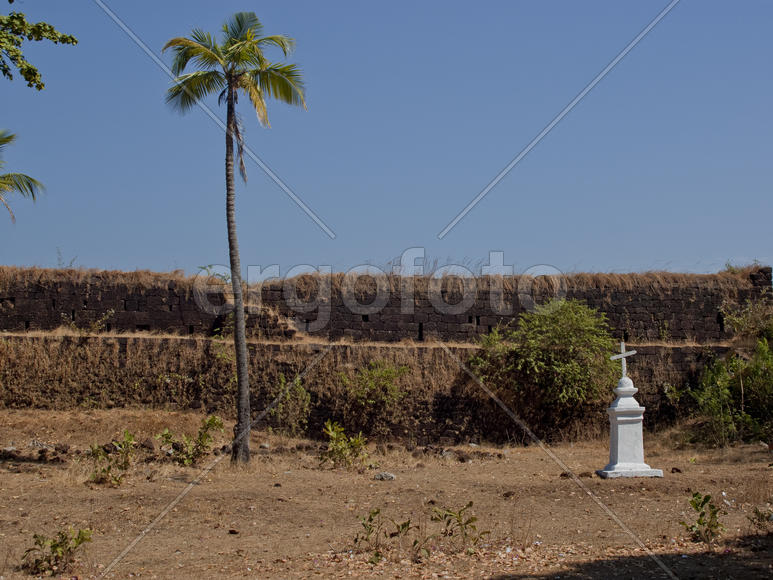 Wall of the old Portuguese fort with a palm tree in the state of Goa