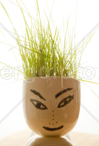 Figure with grass on his head