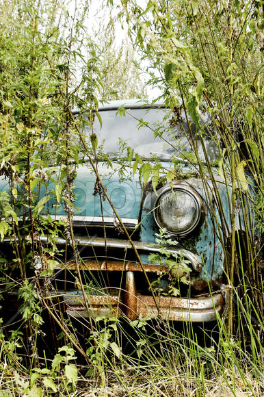 Old car in the bush
