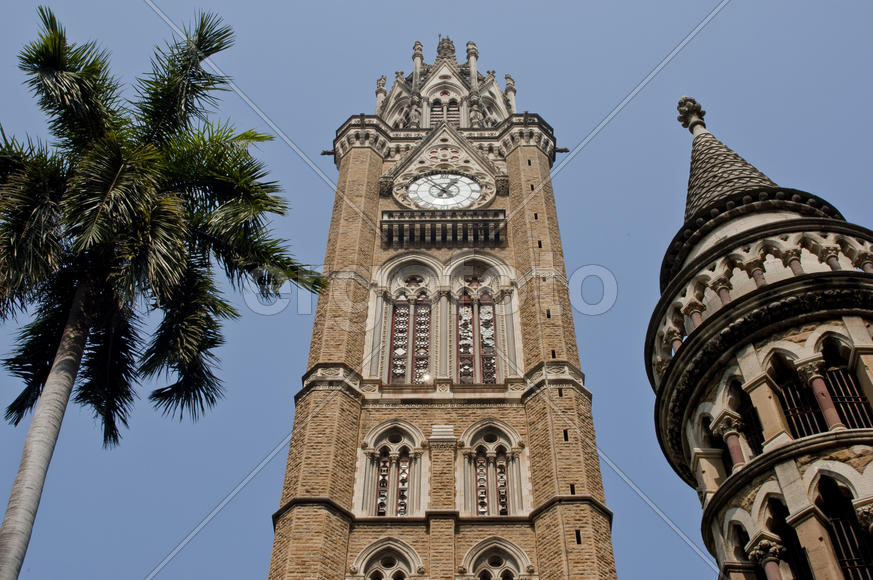University of Mumbai, University Tower in Mumbai