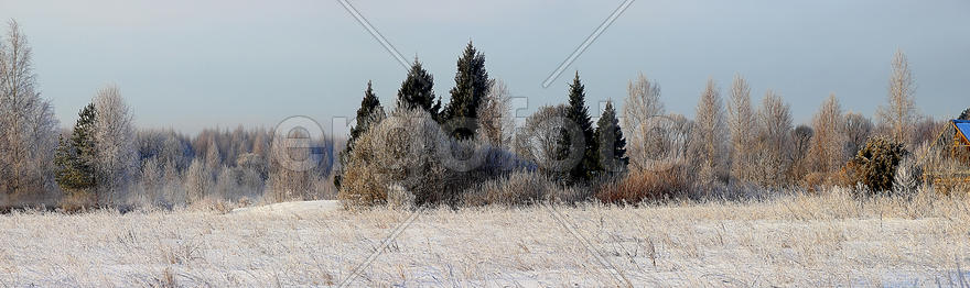 Панорама зимнего поля