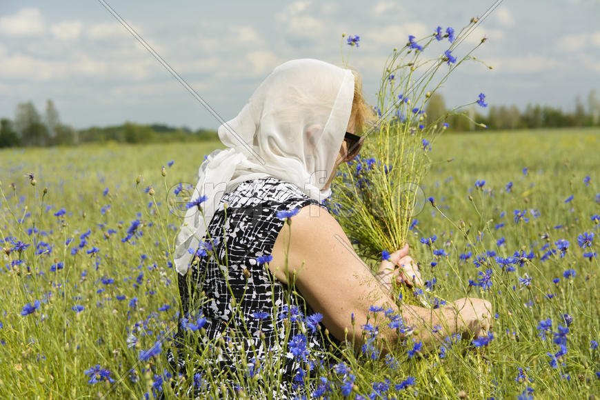 Woman collects cornflowers in the summer on the field.