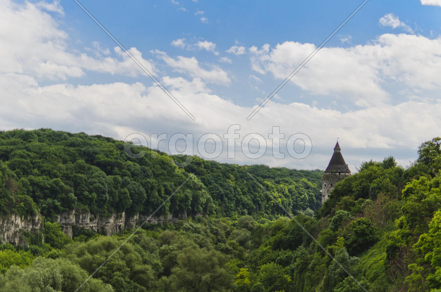Gorge in the dense forest. Mountain valley with steep inaccessible slopes.