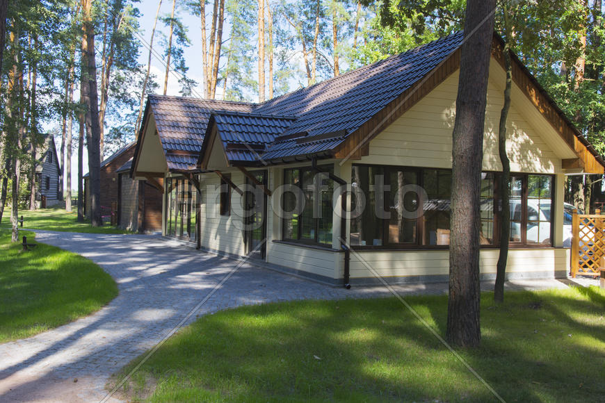 Wooden cabin in the pine forest in the summer