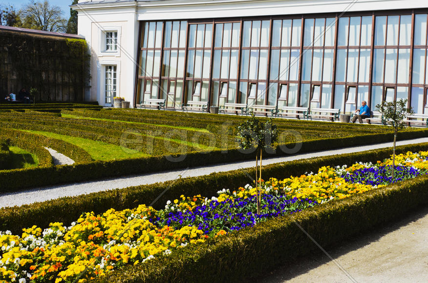 The lawn in the park. The beds of ornamental flowers