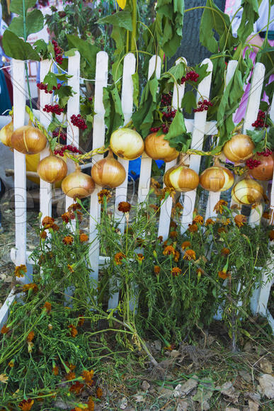 Skilled handicrafts. Fruits and vegetables at the fair