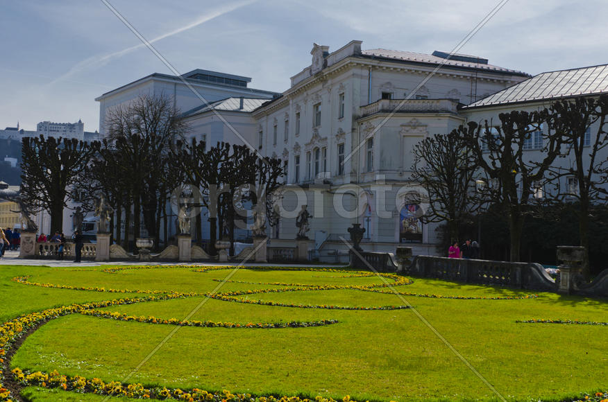 The lawn in the park. The beds of ornamental flowers