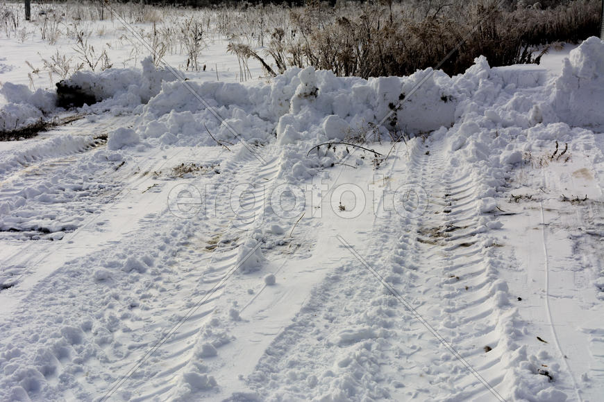 Первый снег, зимой. 