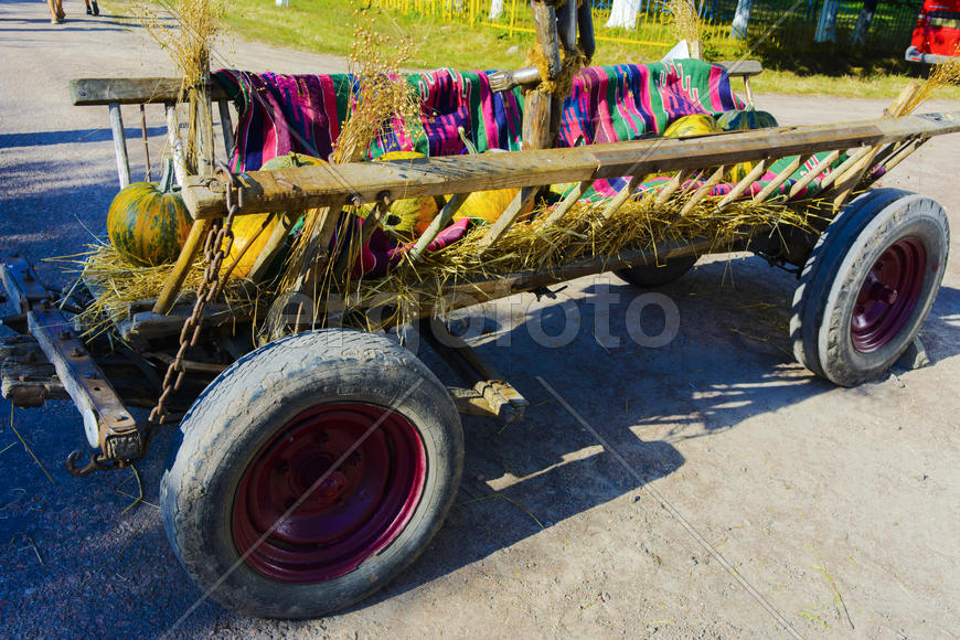 Fruits and vegetables on a cart. Fair in the village