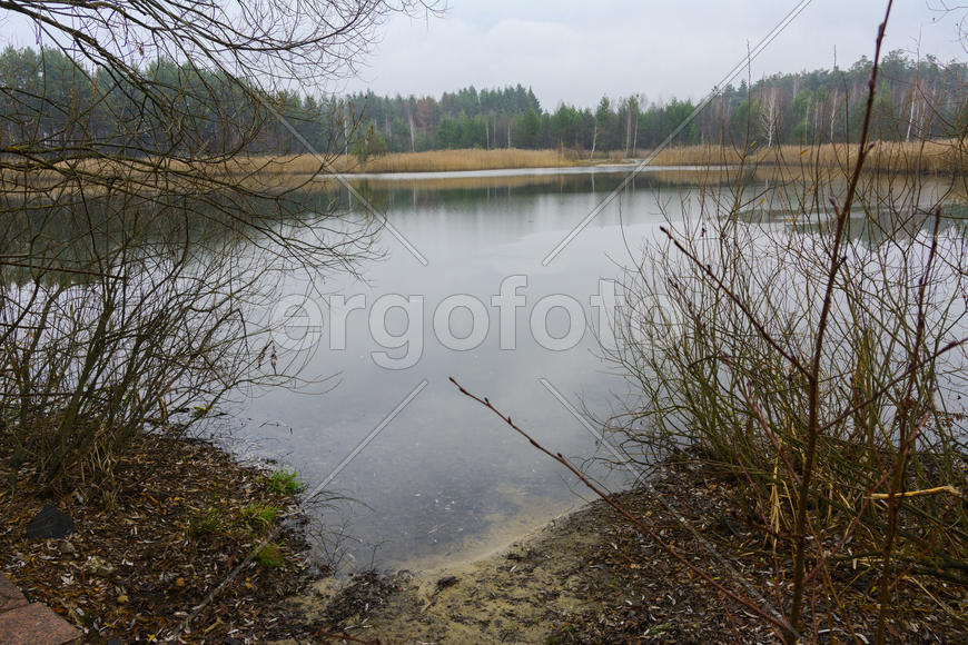 Небольшое озеро возле частного деревянного дома