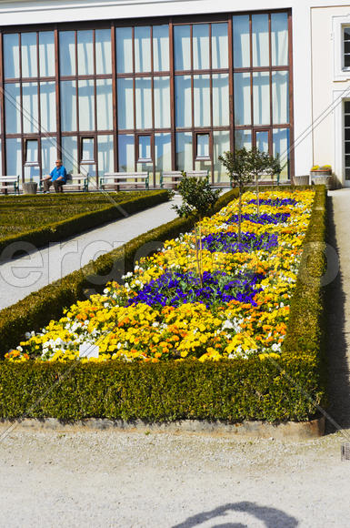 The lawn in the park. The beds of ornamental flowers