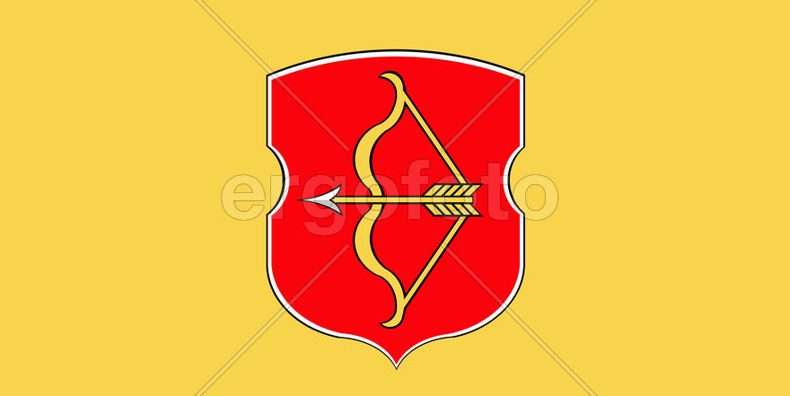 Флаг города Пинск (Pinsk). Брестская область