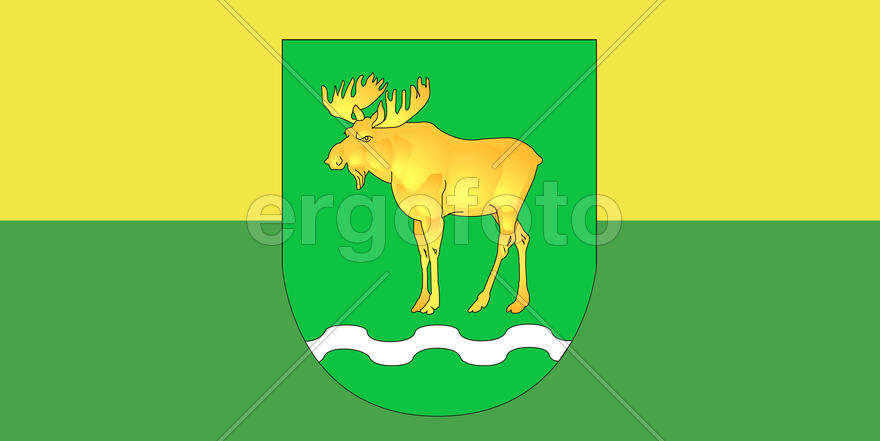 Флаг поселка городского типа Россоны (Rossony). Беларусь