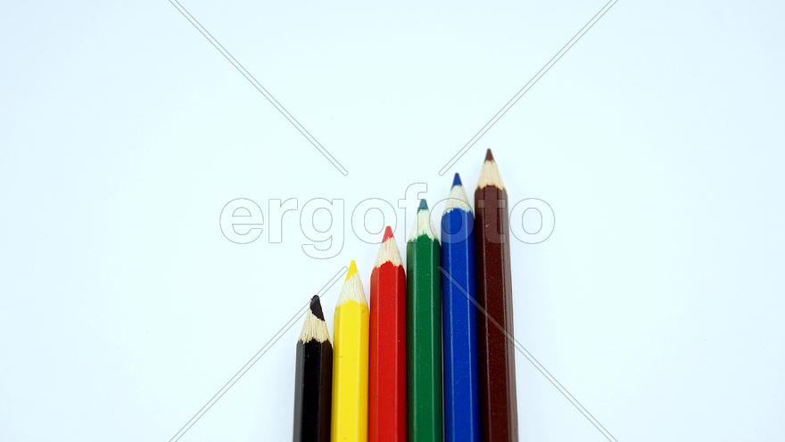 карандаши на белом фоне