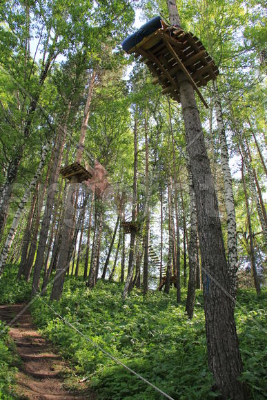 Подвесные лестницы на деревьях 