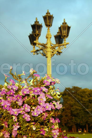 Pink bouquet at sunset against the backdrop of ancient lamp