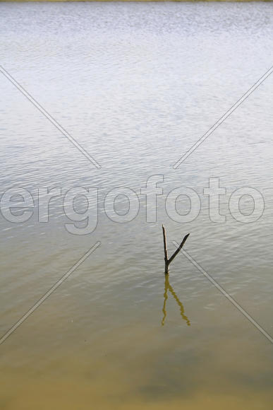 Подставка под удочку в озере