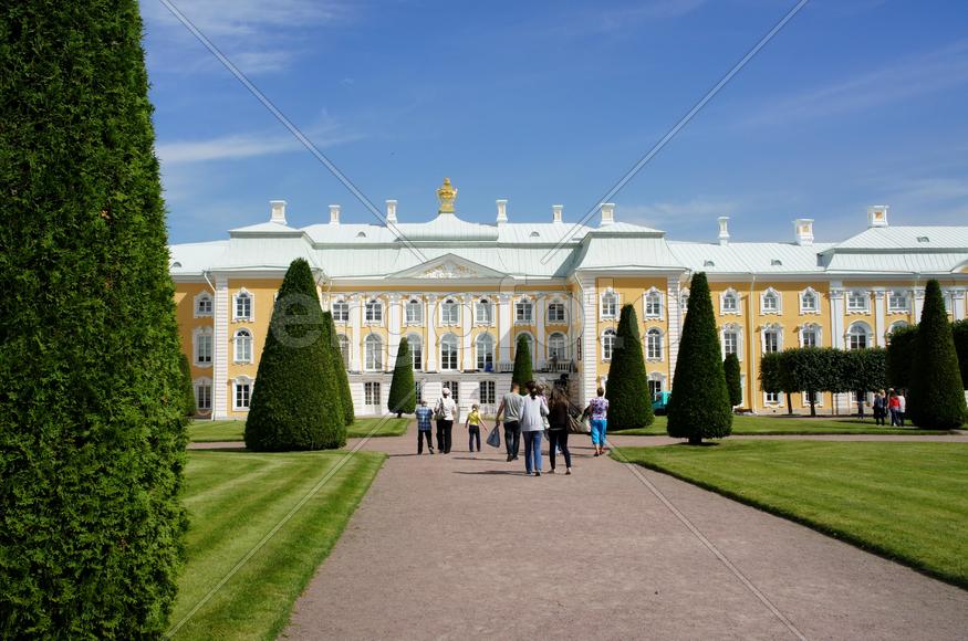 Дворец В Петергофе