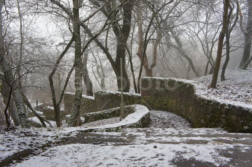 Старая лестница в парке