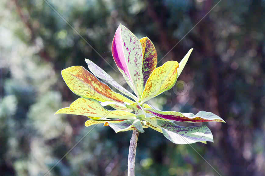 Autumn flowers grow in the joy of the people in the bright light of the sun