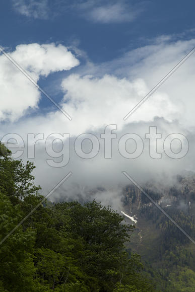 Mountains are covered with snow and the wood and surrounded with clouds