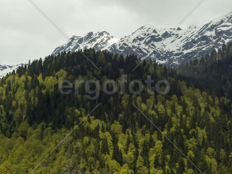 Mountains in the woods and snow are surrounded with clouds