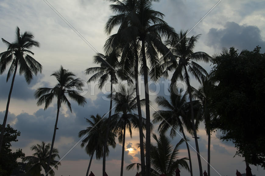 The decline on the tropical island is extraordinary beautiful