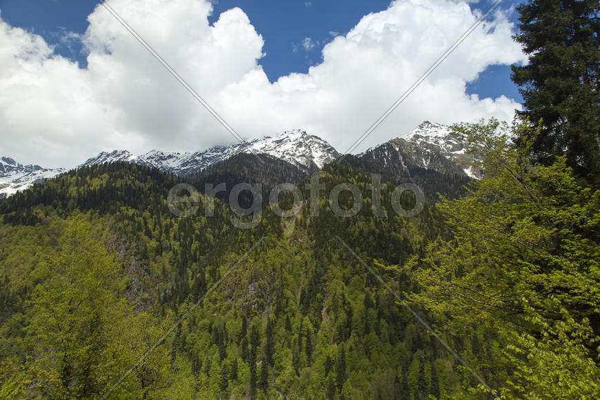 Mountains are covered with snow and the wood and surrounded with clouds