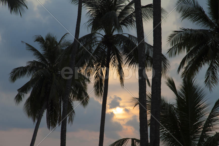 The decline on the tropical island is extraordinary beautiful