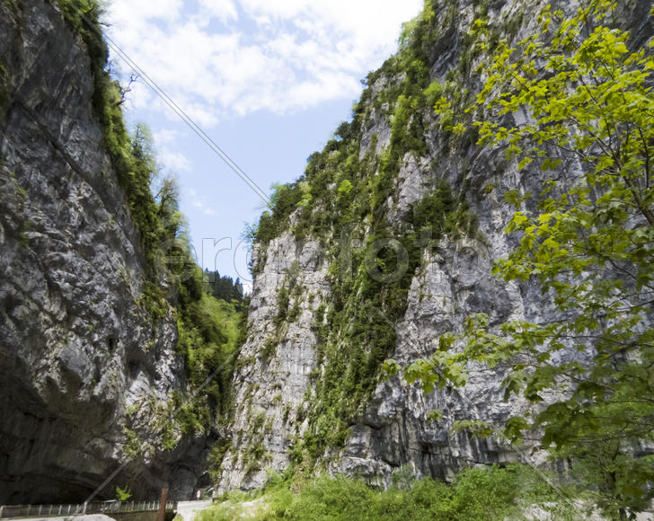 The mountains covered with the wood hang over the head