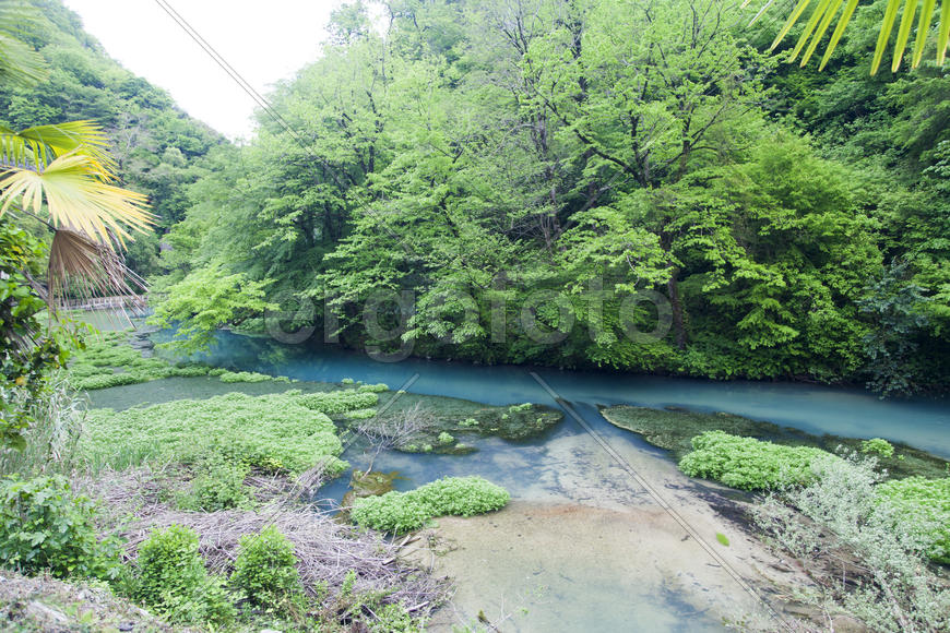 The blue river flows between thickets from palm trees and tropical trees