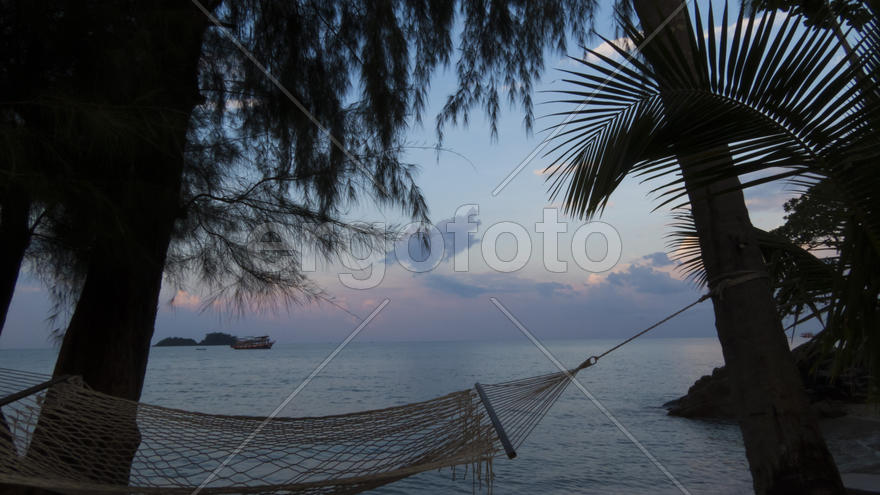 The sea at sunrise in an environment of palm trees and sand