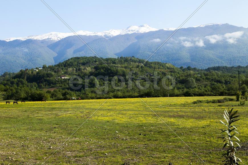 Mountains are covered with snow and the wood and surrounded with clouds