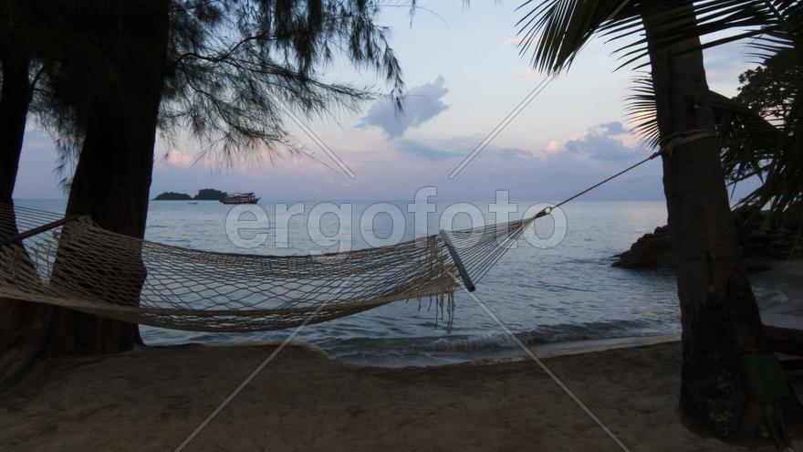 The sea at sunrise in an environment of palm trees and sand