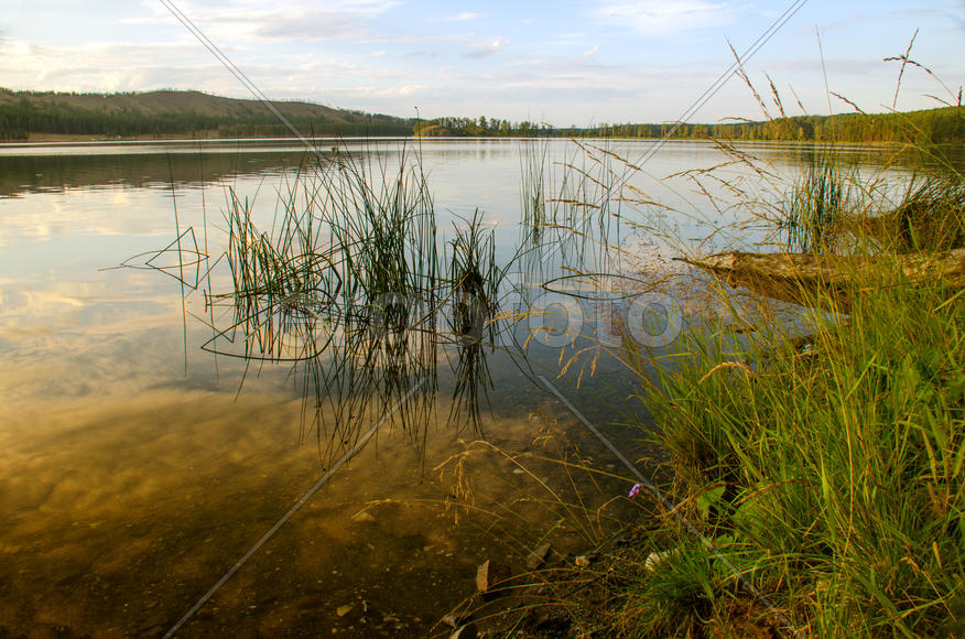 landscape on the shore of the Lake