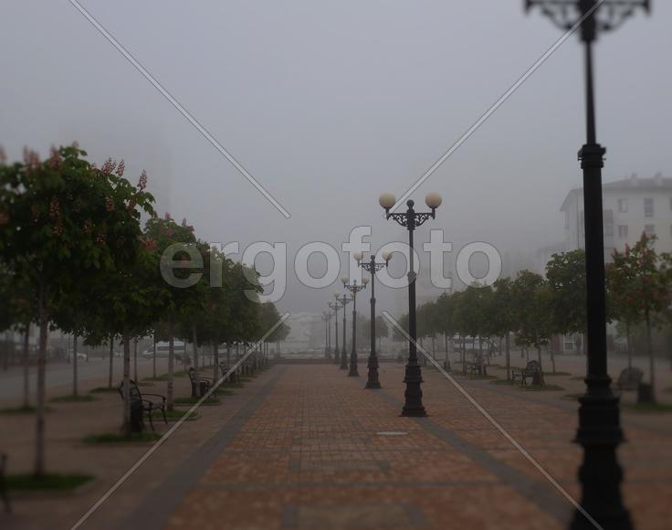 Бульвар Черняховского: утро туманное...