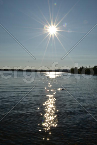 Блики солнечных лучей на воде 