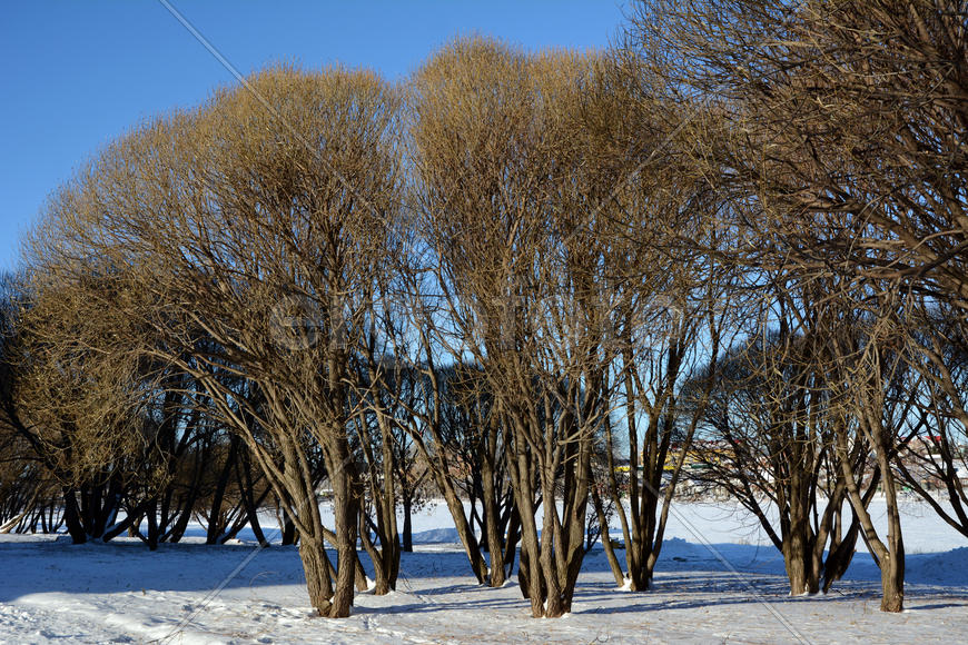 Пейзажи снежной Уральский зимы 