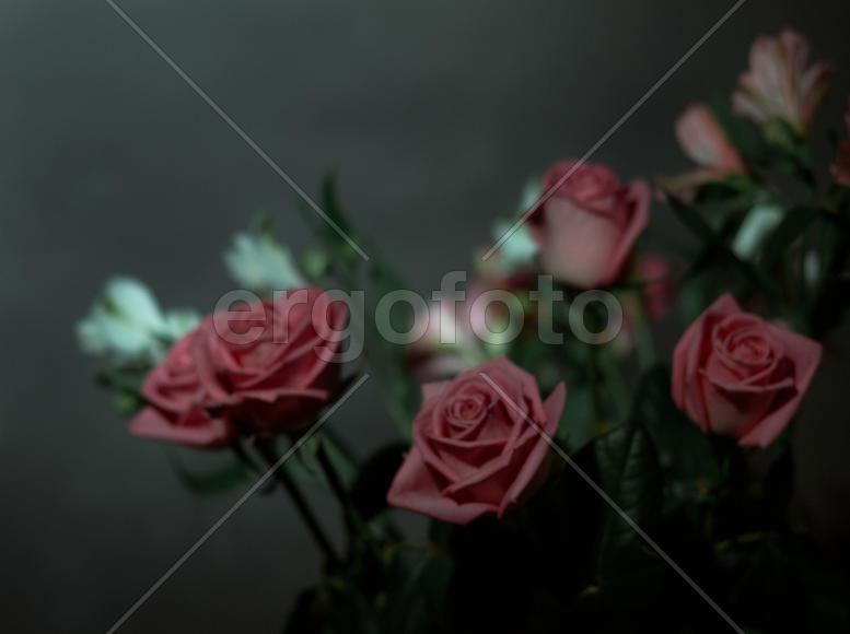 Бутоны роз 