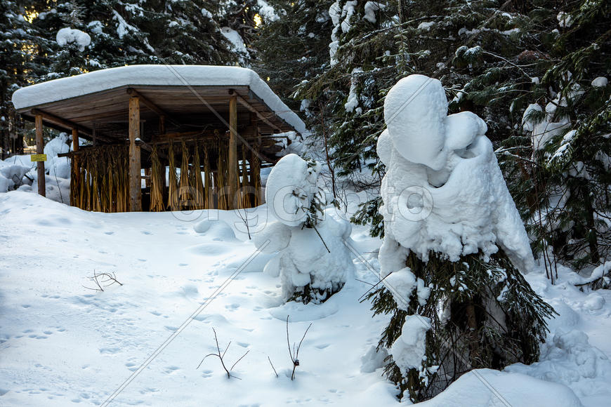 Снежные формы