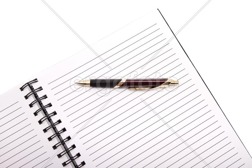 Раскрытый блокнот на пружинах в линейку. На страницу лежит шариковая ручка. На белом фоне