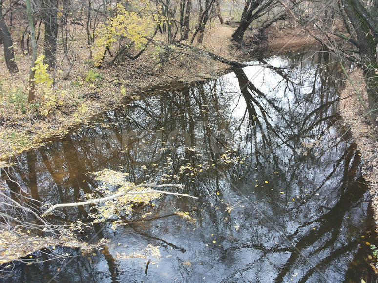 Осенний пейзаж.