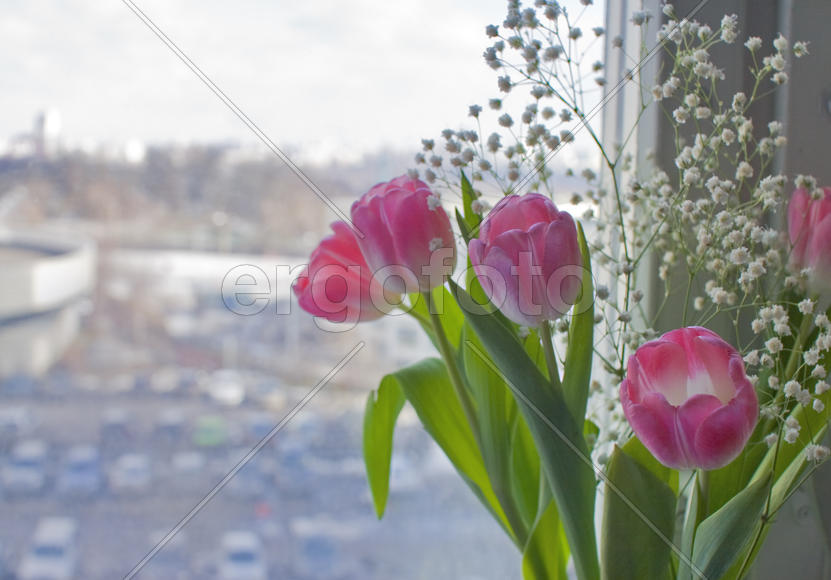 Весна. Цветы. Вид из окна